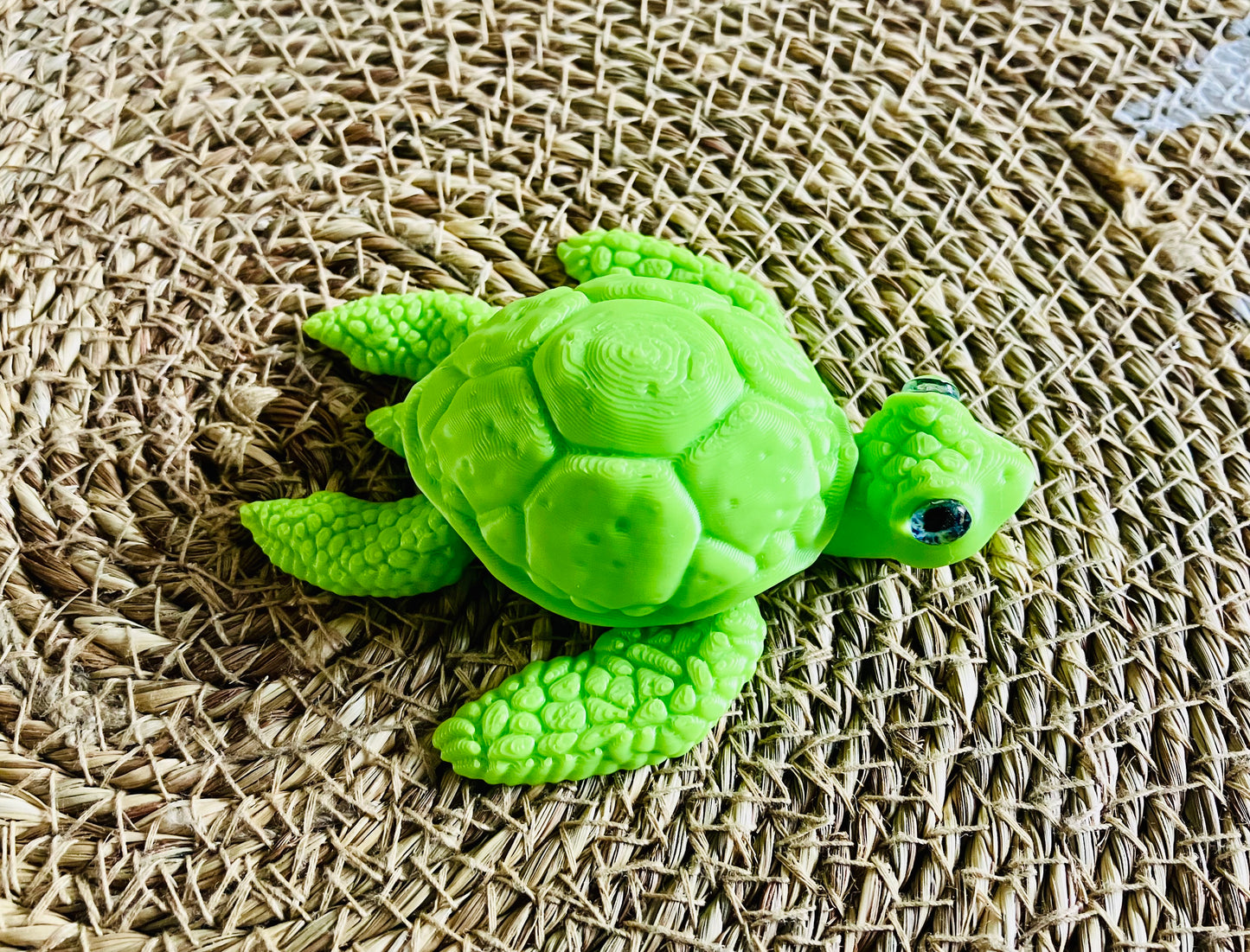3D Printed Turtle