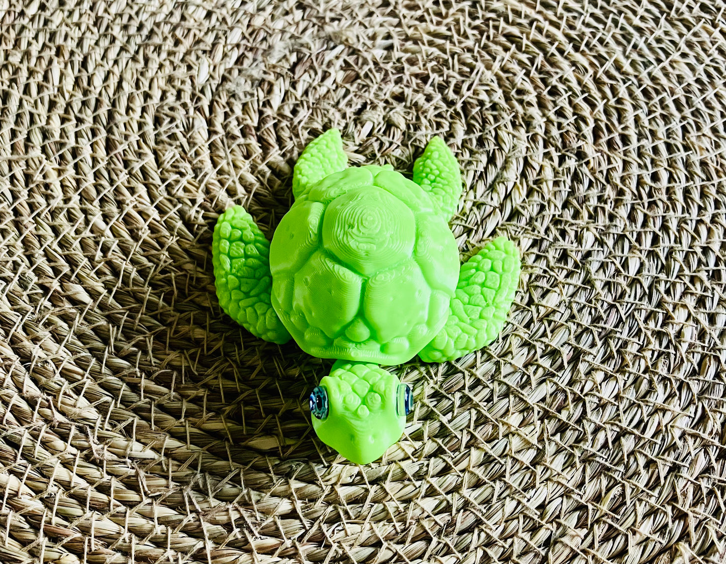 3D Printed Turtle
