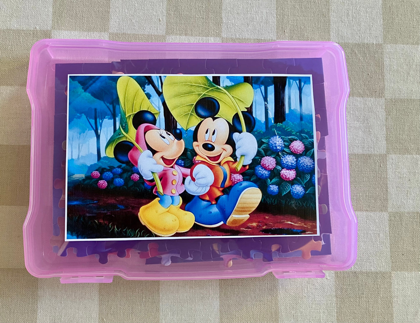 Jigsaw Puzzle #2 (300 Pieces)