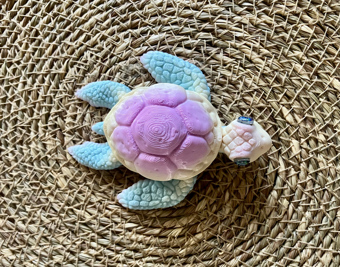 3D Printed Turtle