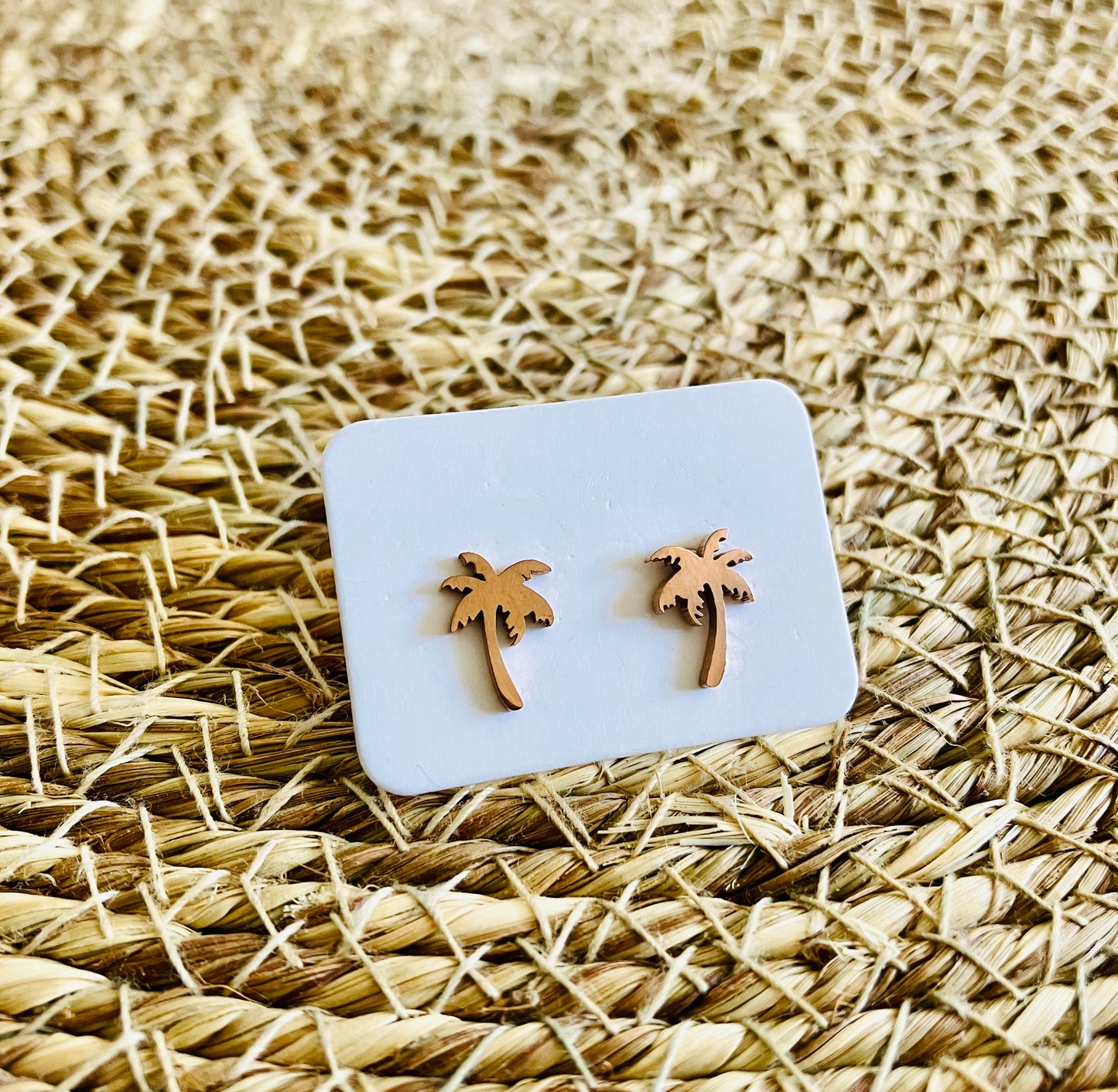 Stainless Steel Studs *18