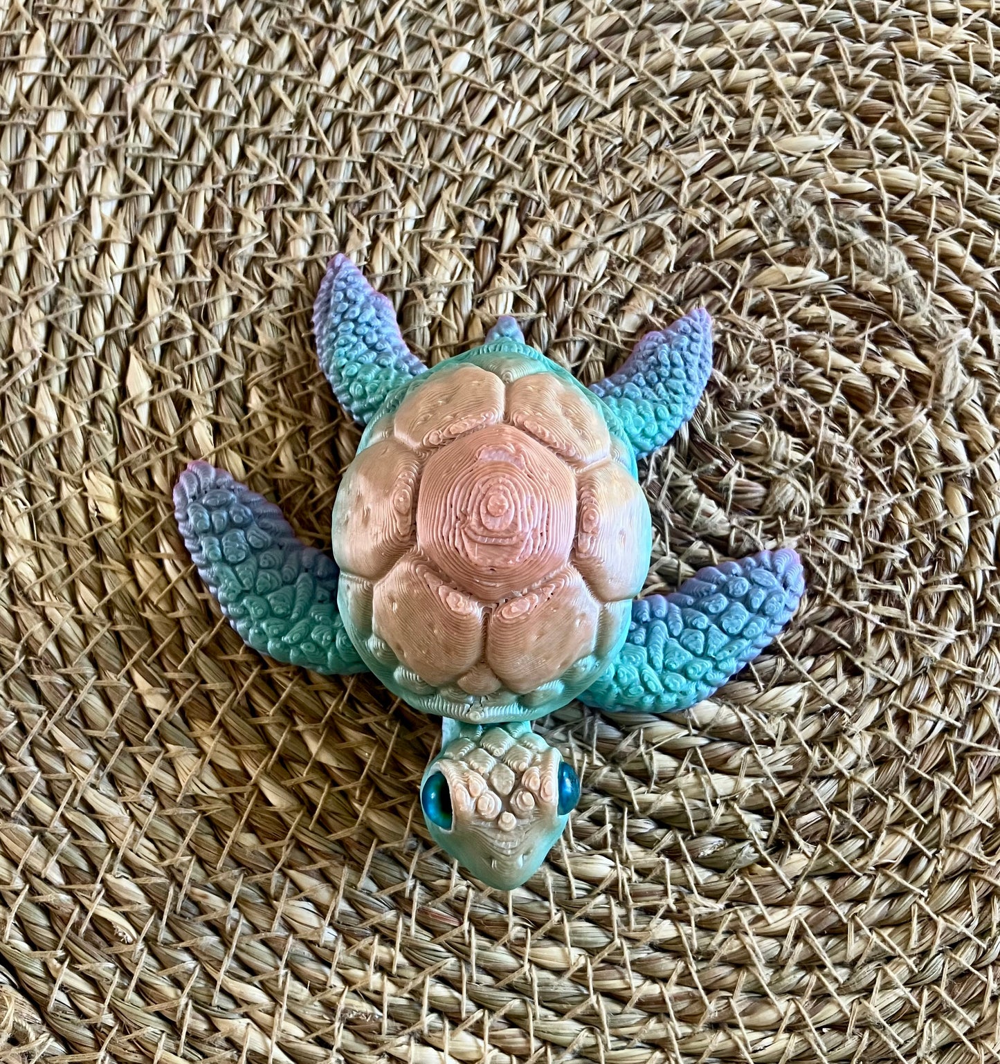 3D Printed Turtle