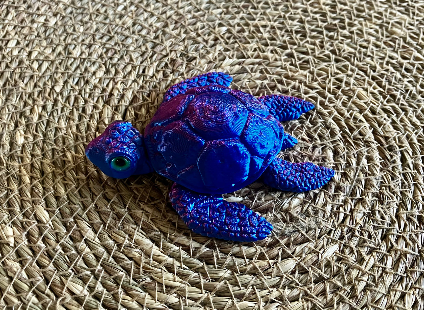 3D Printed Turtle