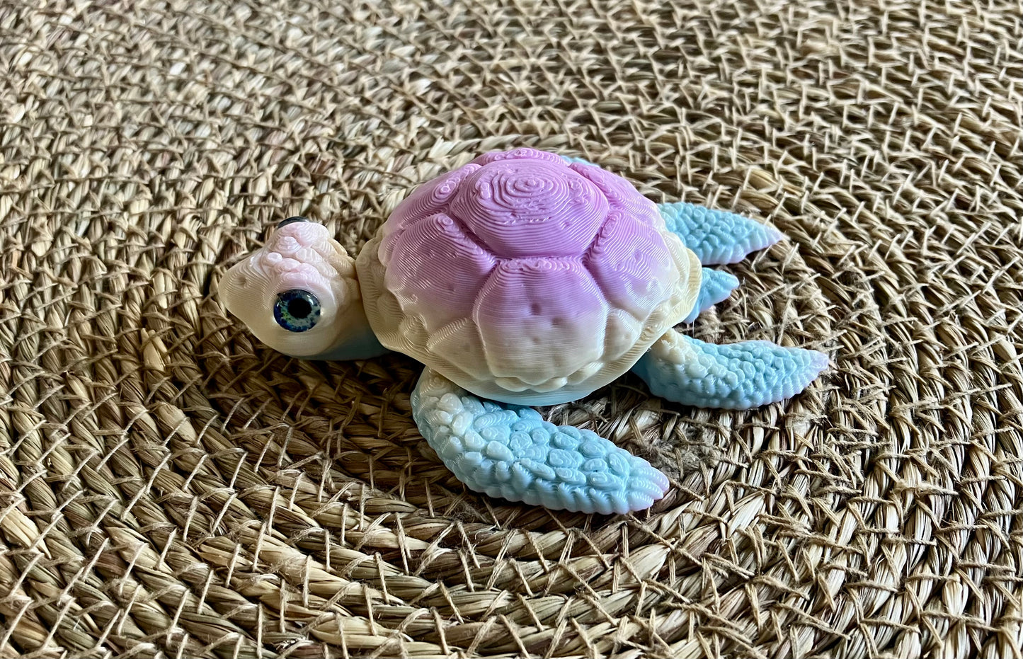3D Printed Turtle