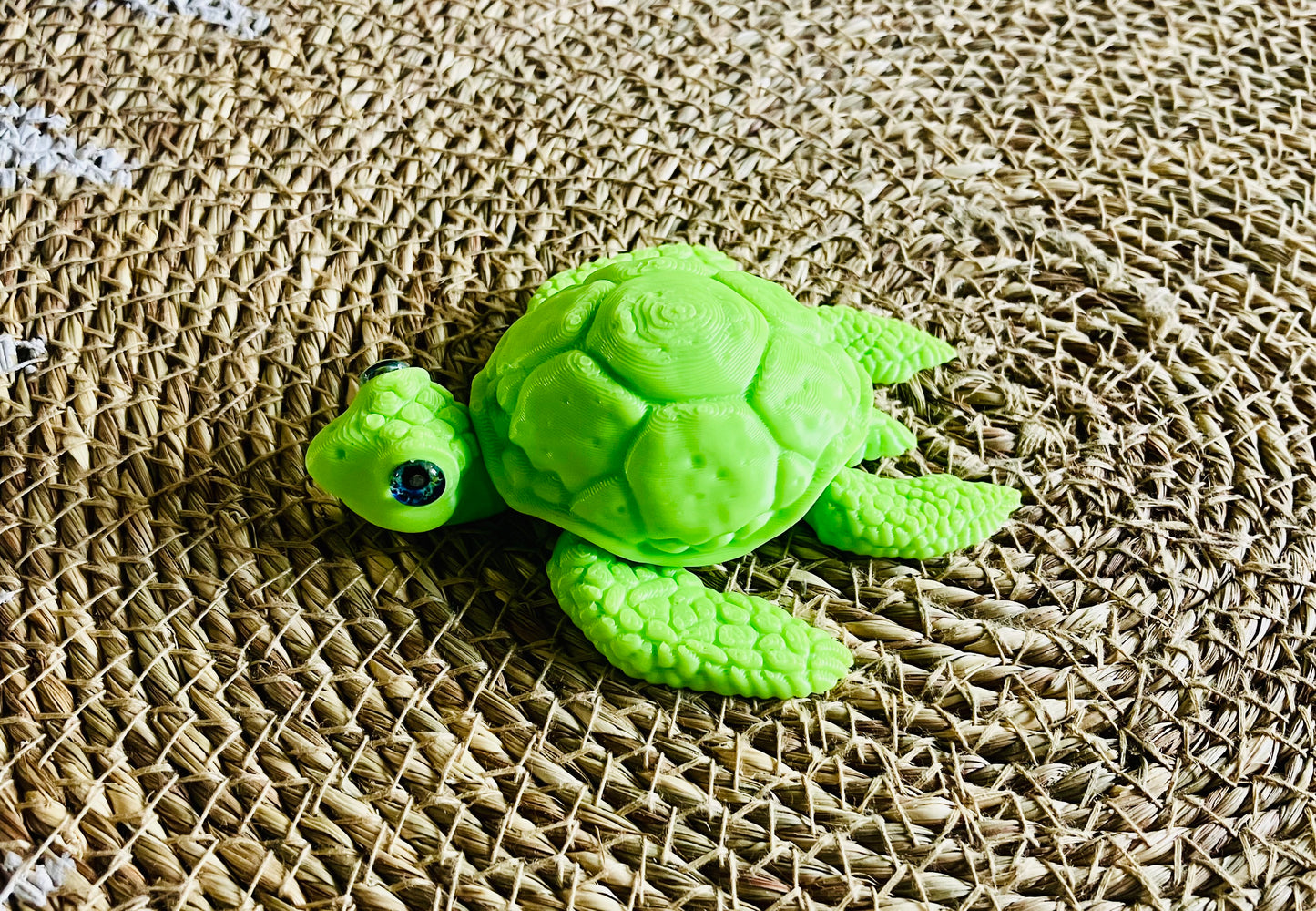 3D Printed Turtle