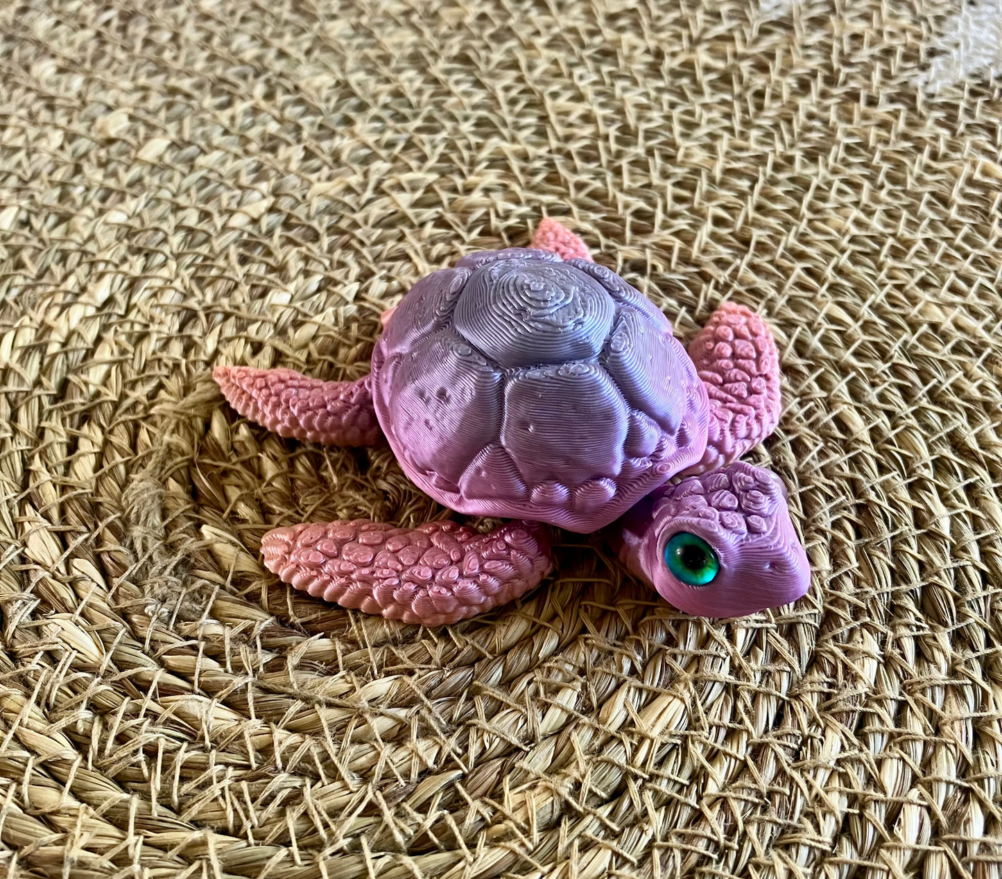 3D Printed Turtle