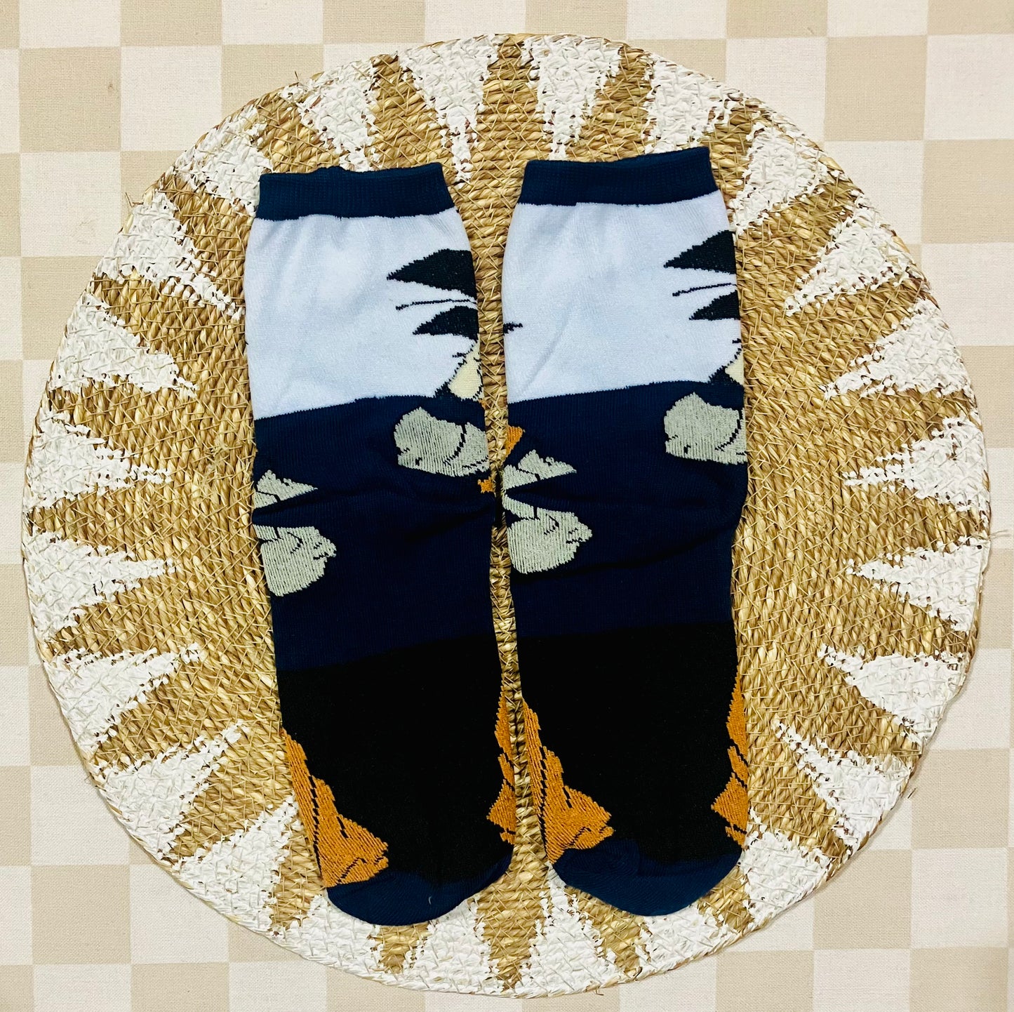 Socks #21