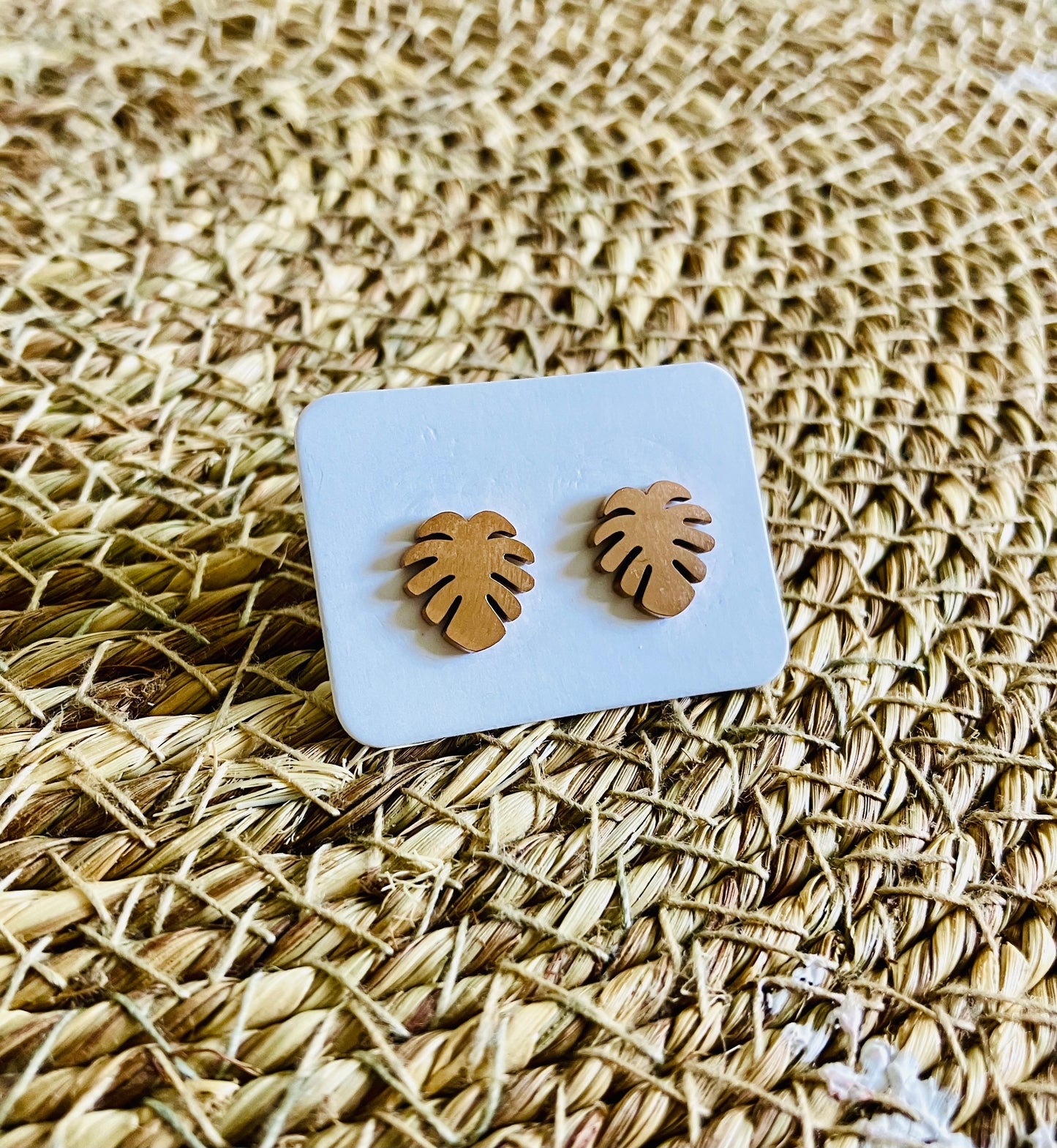 Stainless Steel Studs *15