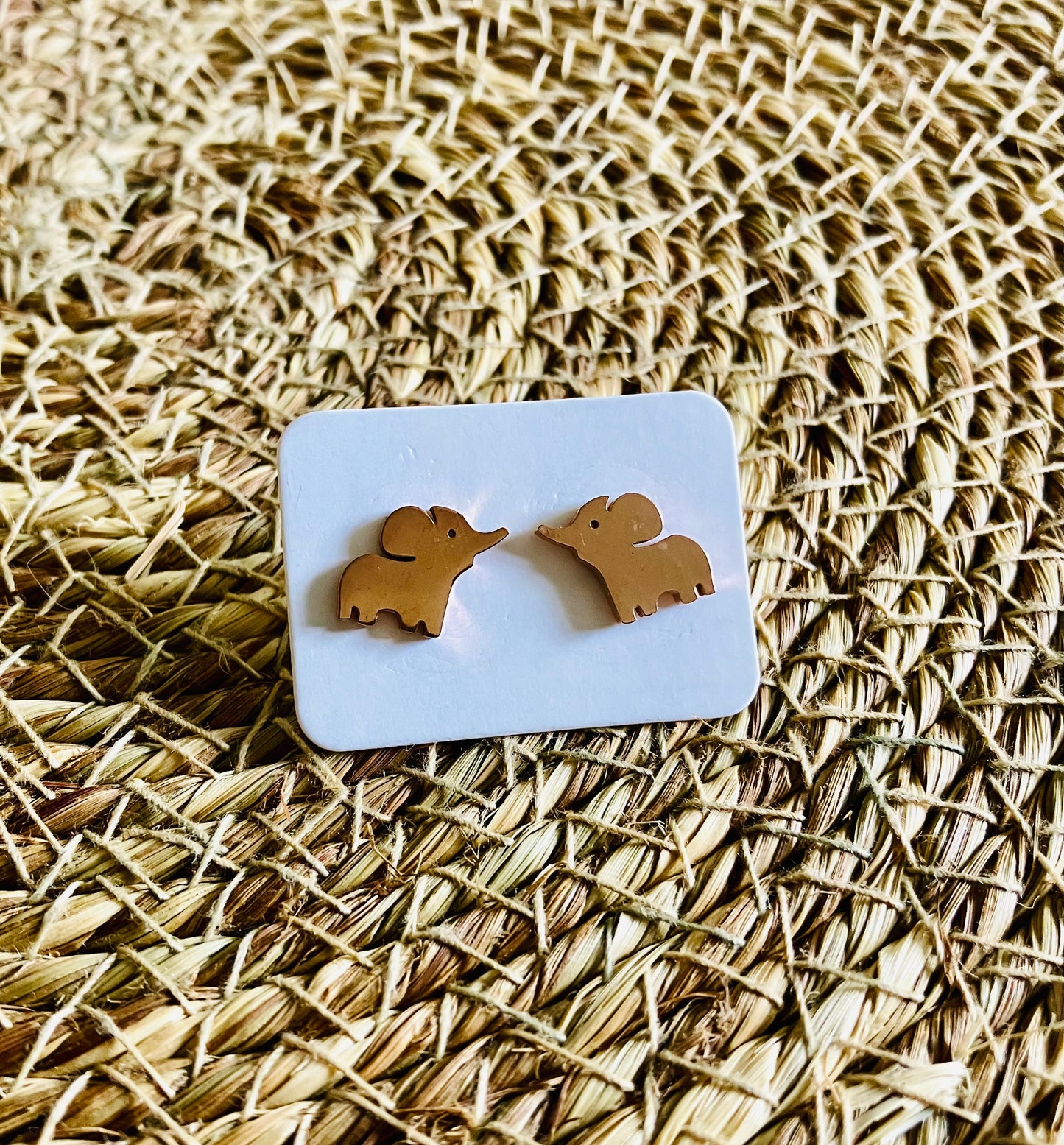 Stainless Steel Studs *19