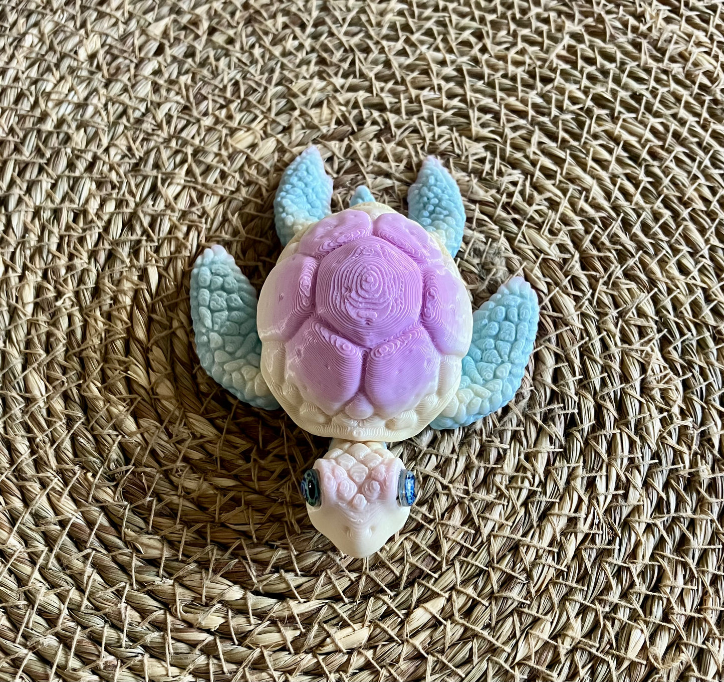 3D Printed Turtle