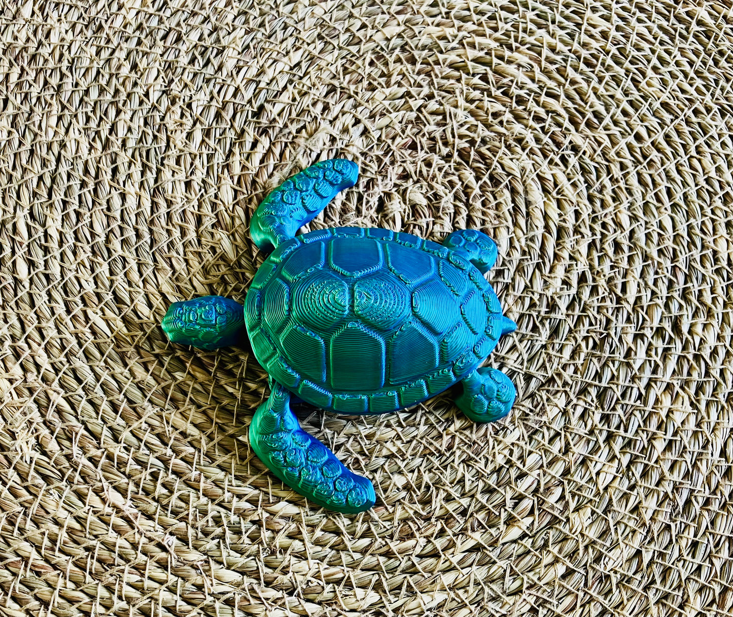 3D Printed Turtle