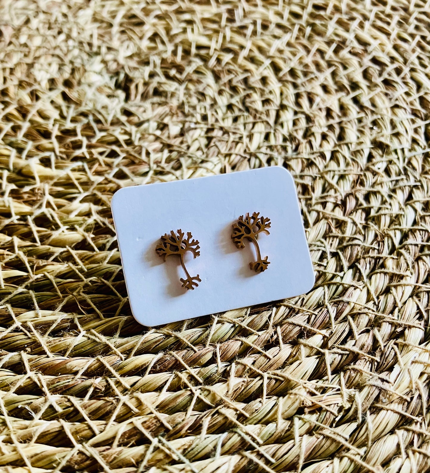 Stainless Steel Studs *5