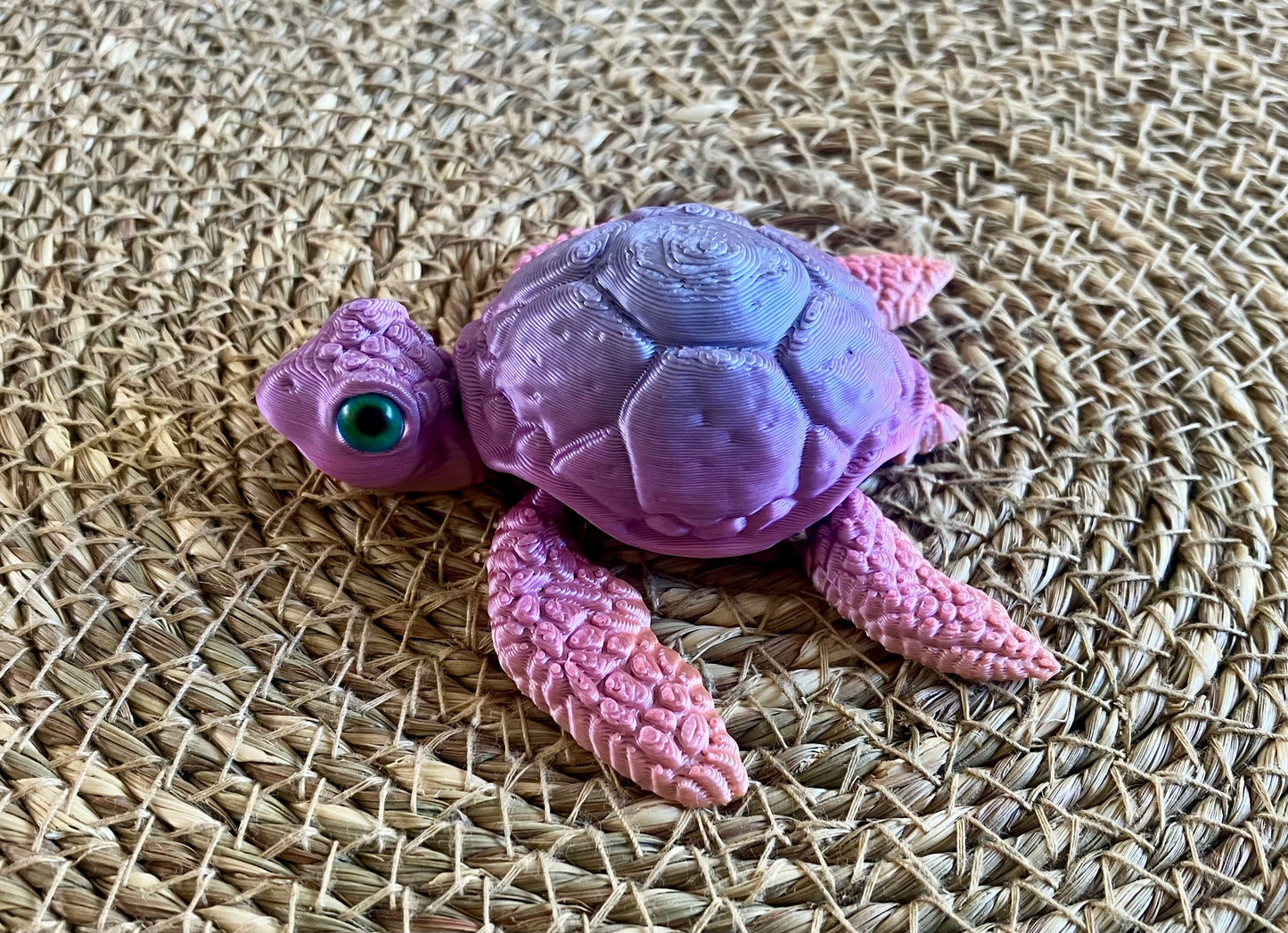 3D Printed Turtle