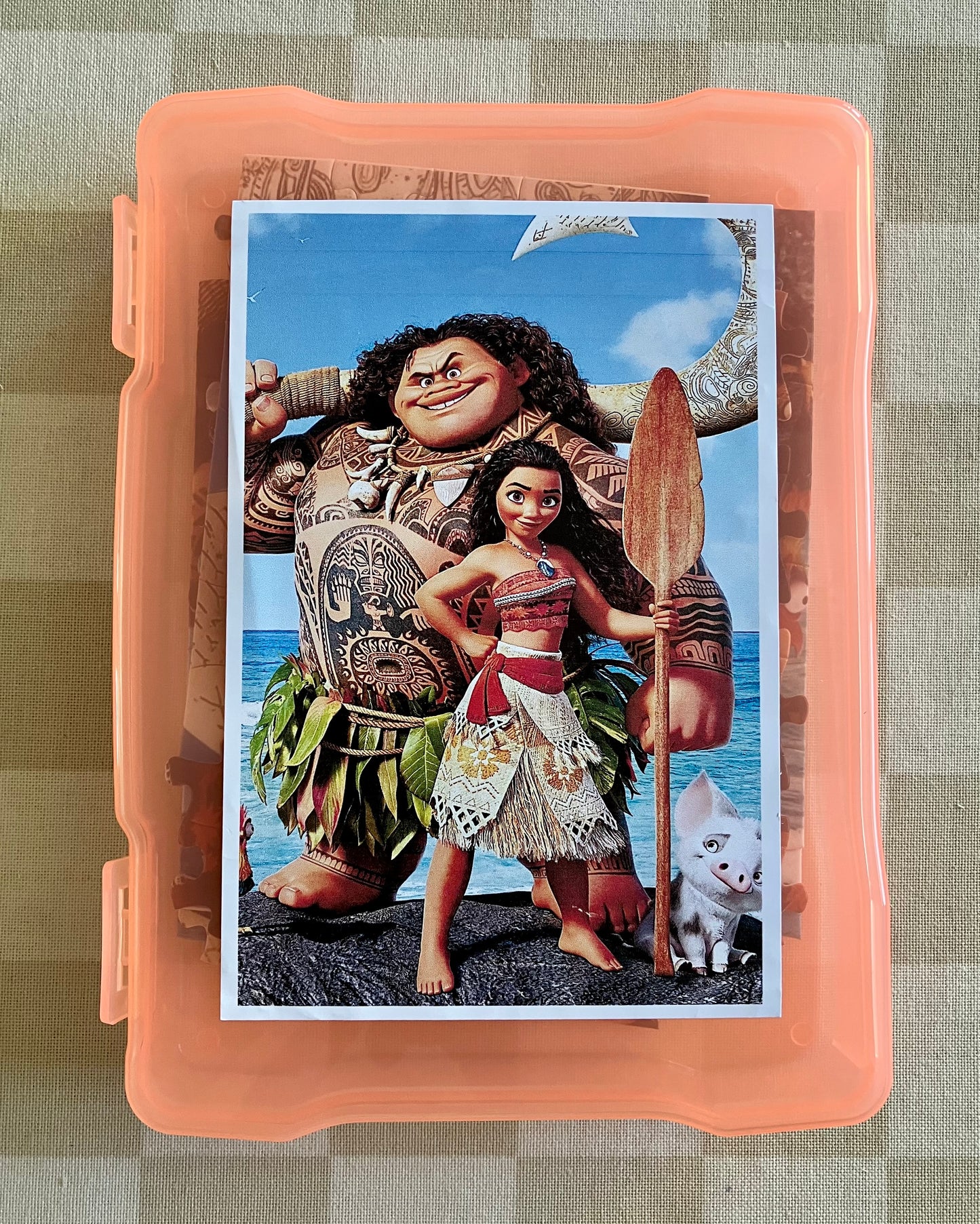 Jigsaw Puzzle #10 (300 Pieces)