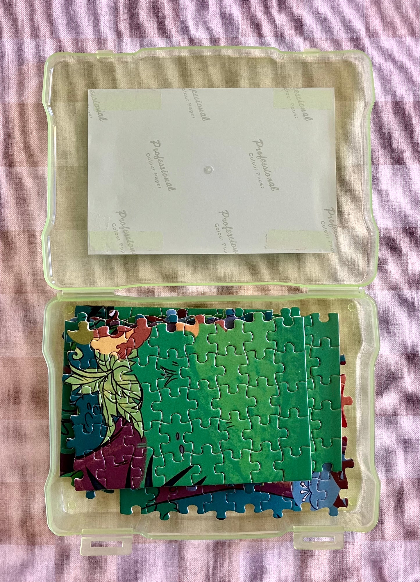 Jigsaw Puzzle #1 (300 Pieces)