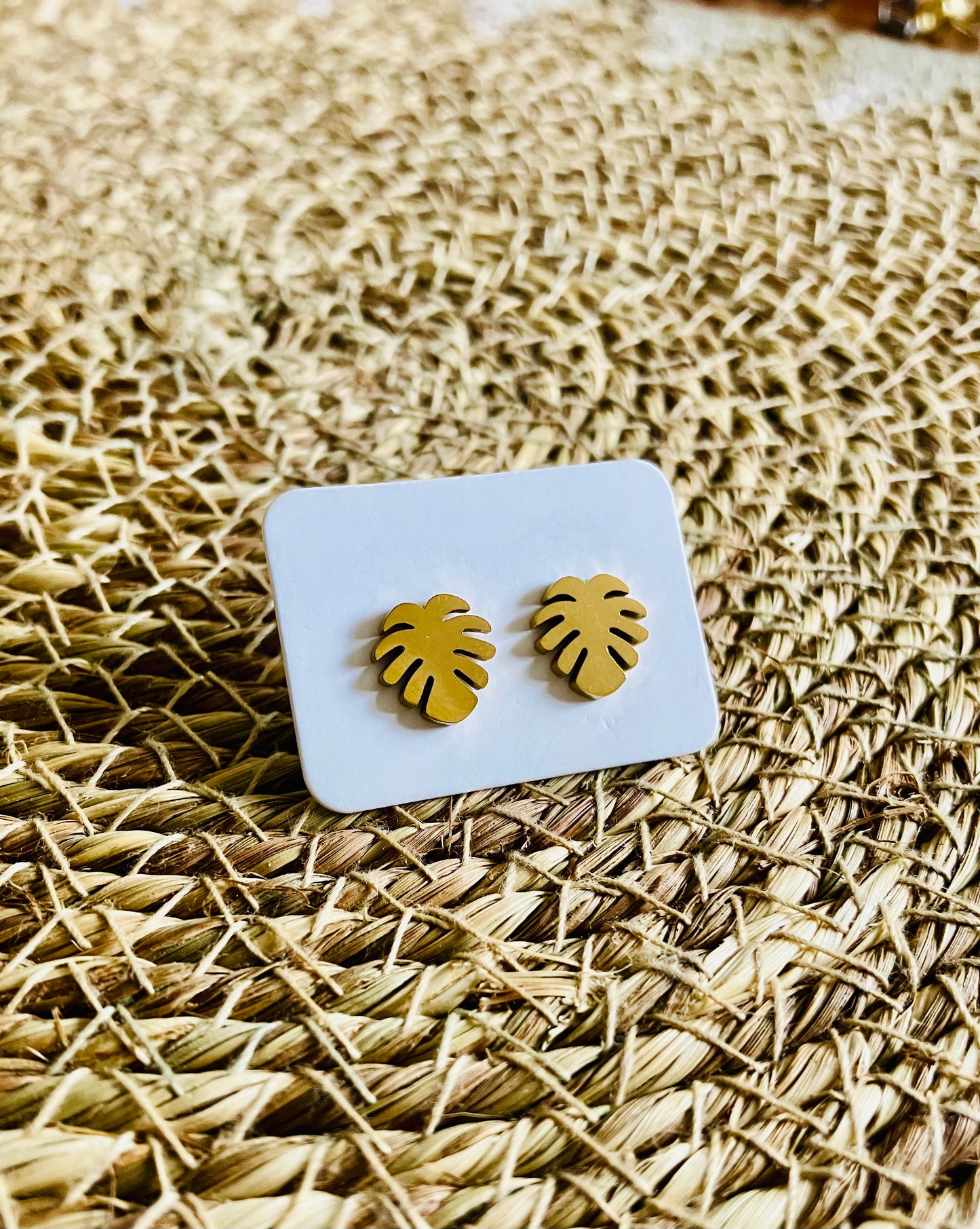 Stainless Steel Studs *15