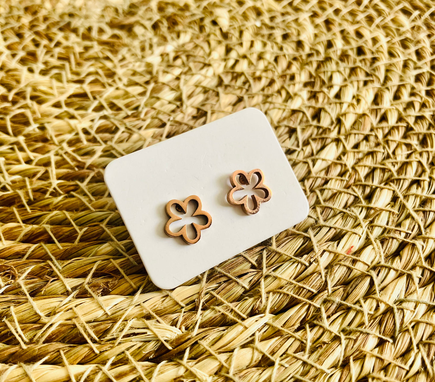 Stainless Steel Studs *22