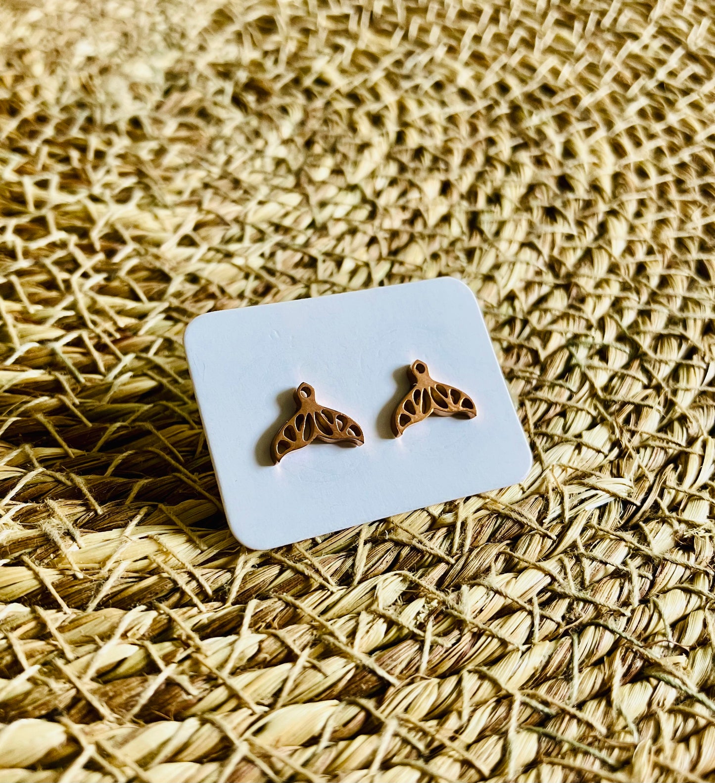 Stainless Steel Studs *17