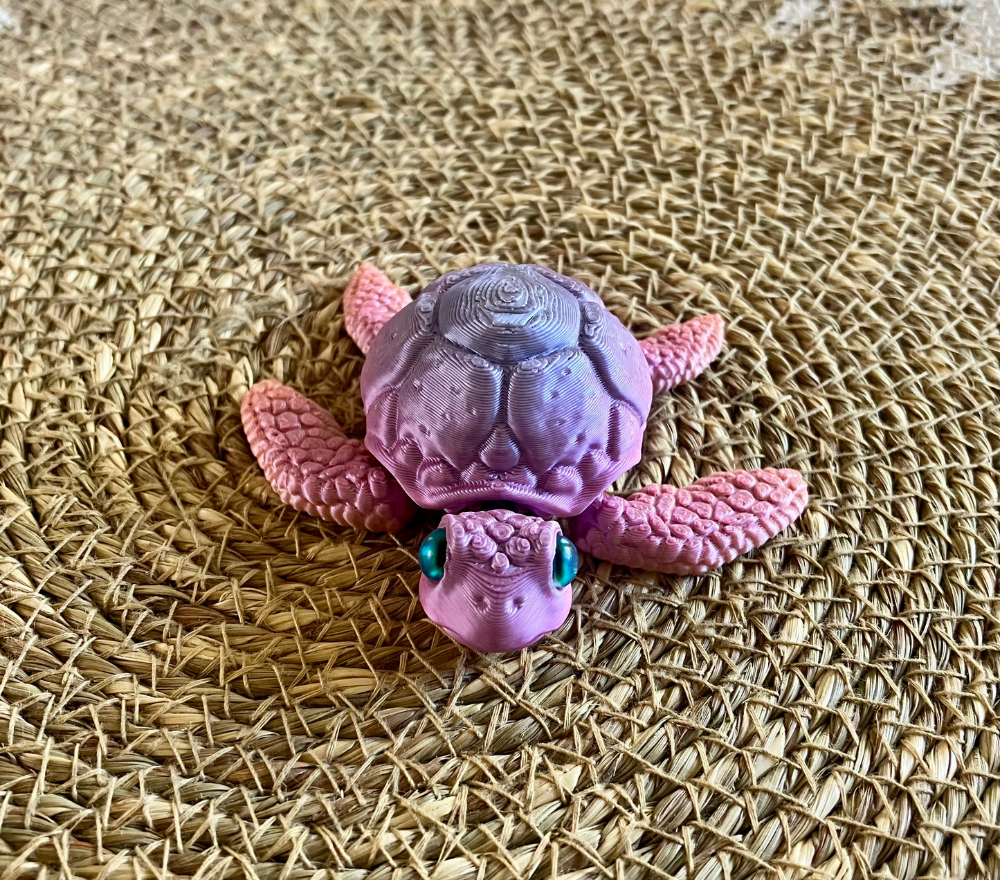 3D Printed Turtle