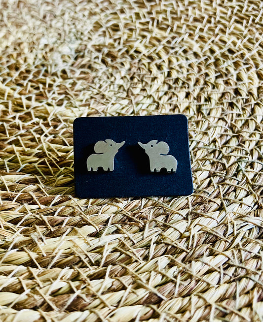 Stainless Steel Studs *19