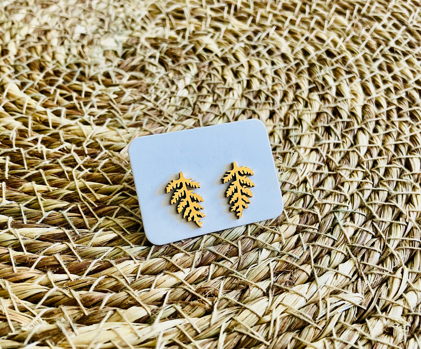 Stainless Steel Studs *23