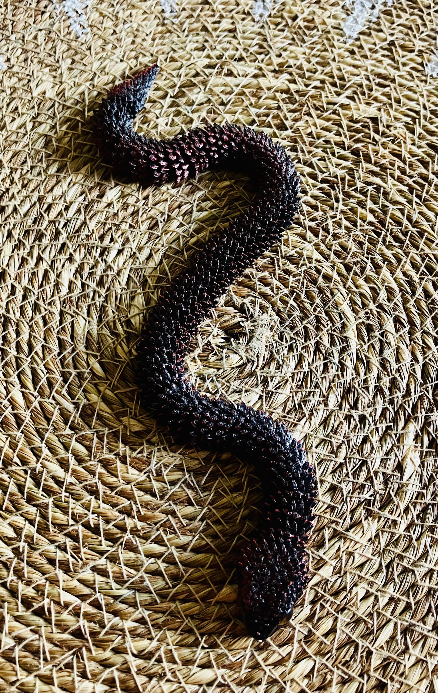 3D Printed Articulated Snake (Brownish Black)