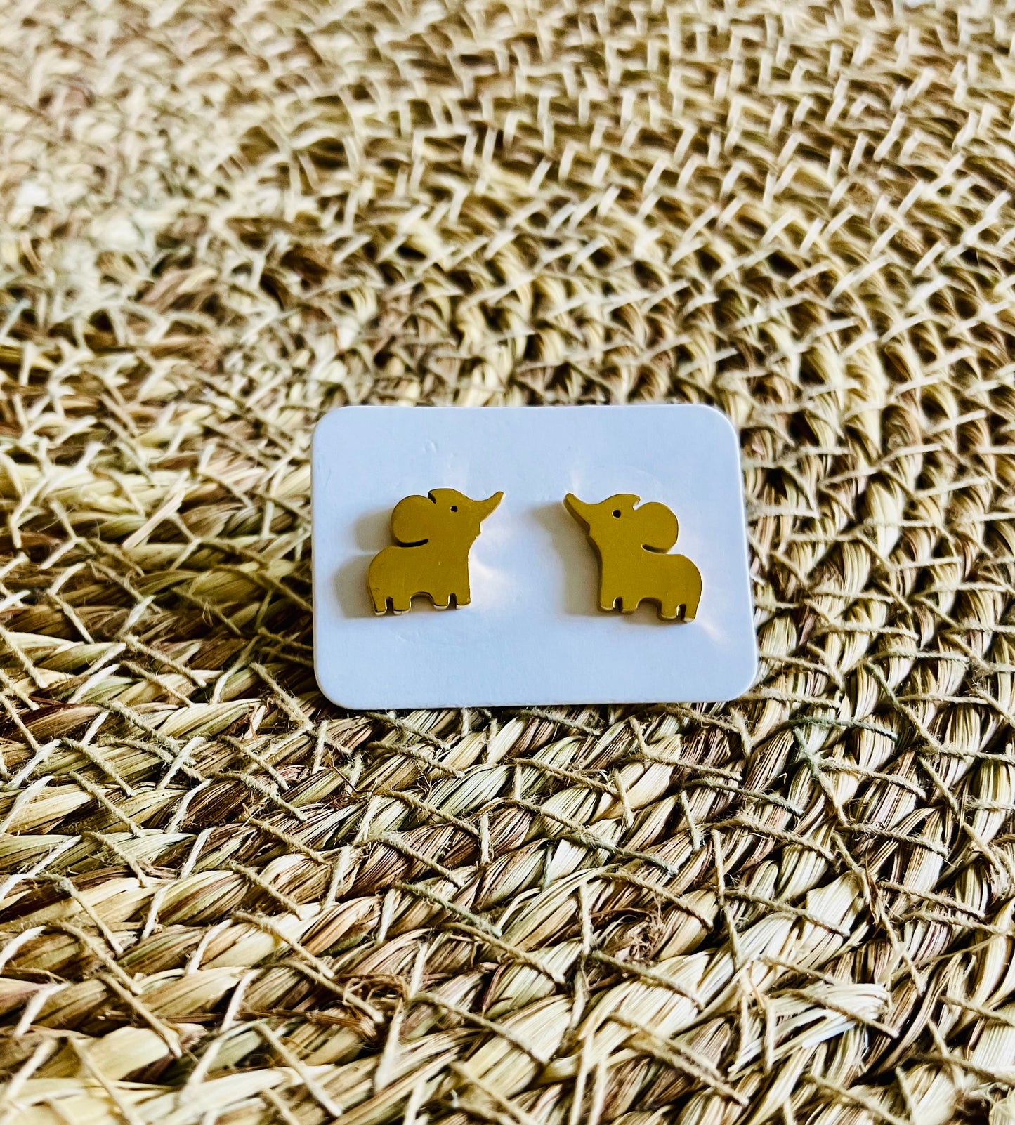 Stainless Steel Studs *19