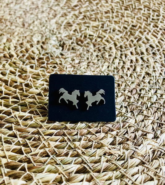 Stainless Steel Studs *6