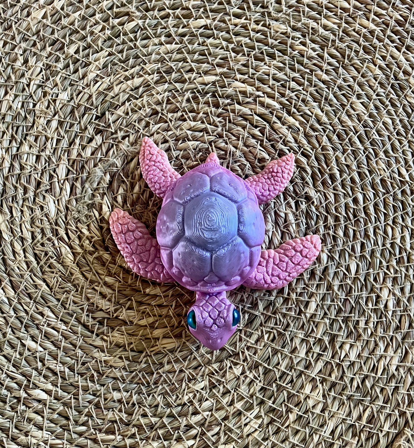 3D Printed Turtle