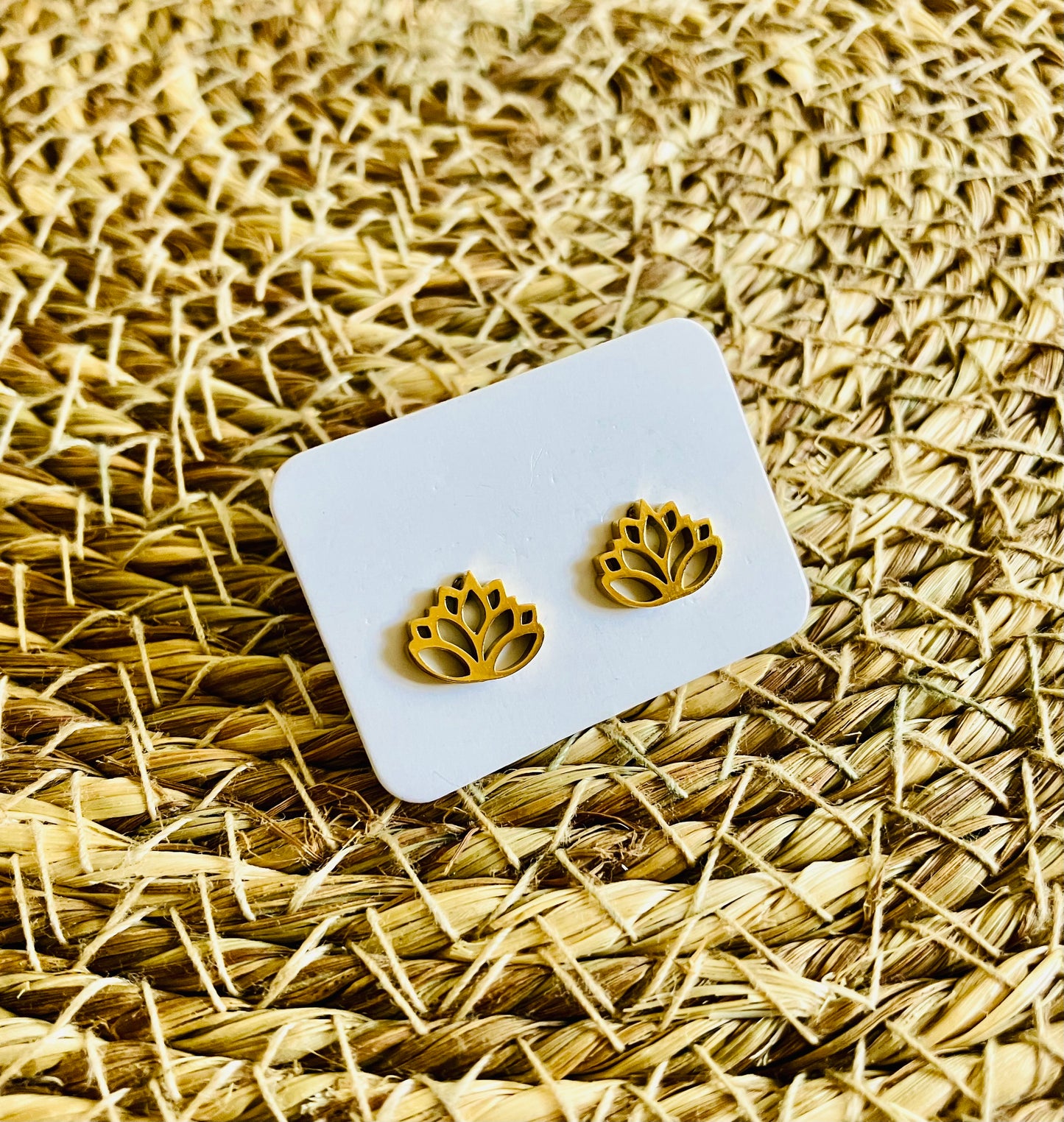 Stainless Steel Studs *25