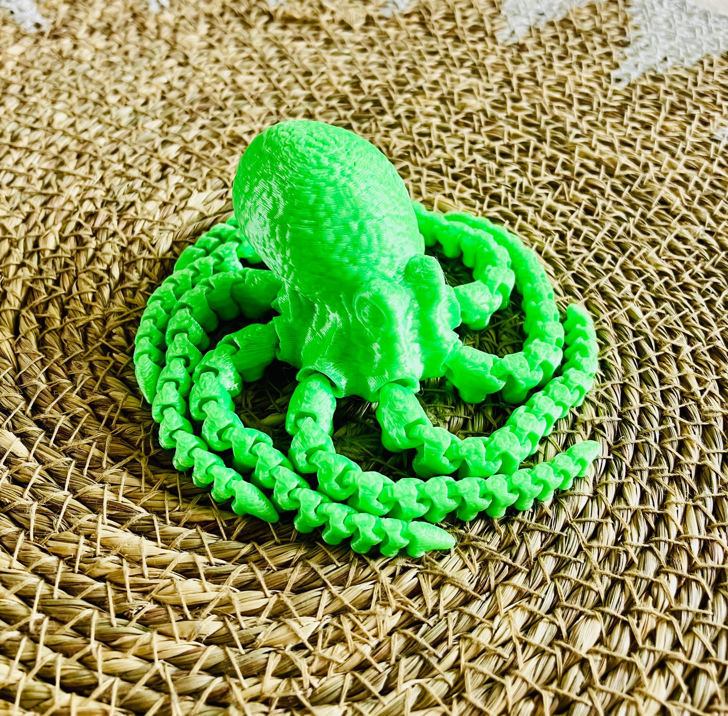 3D Printed Octopus
