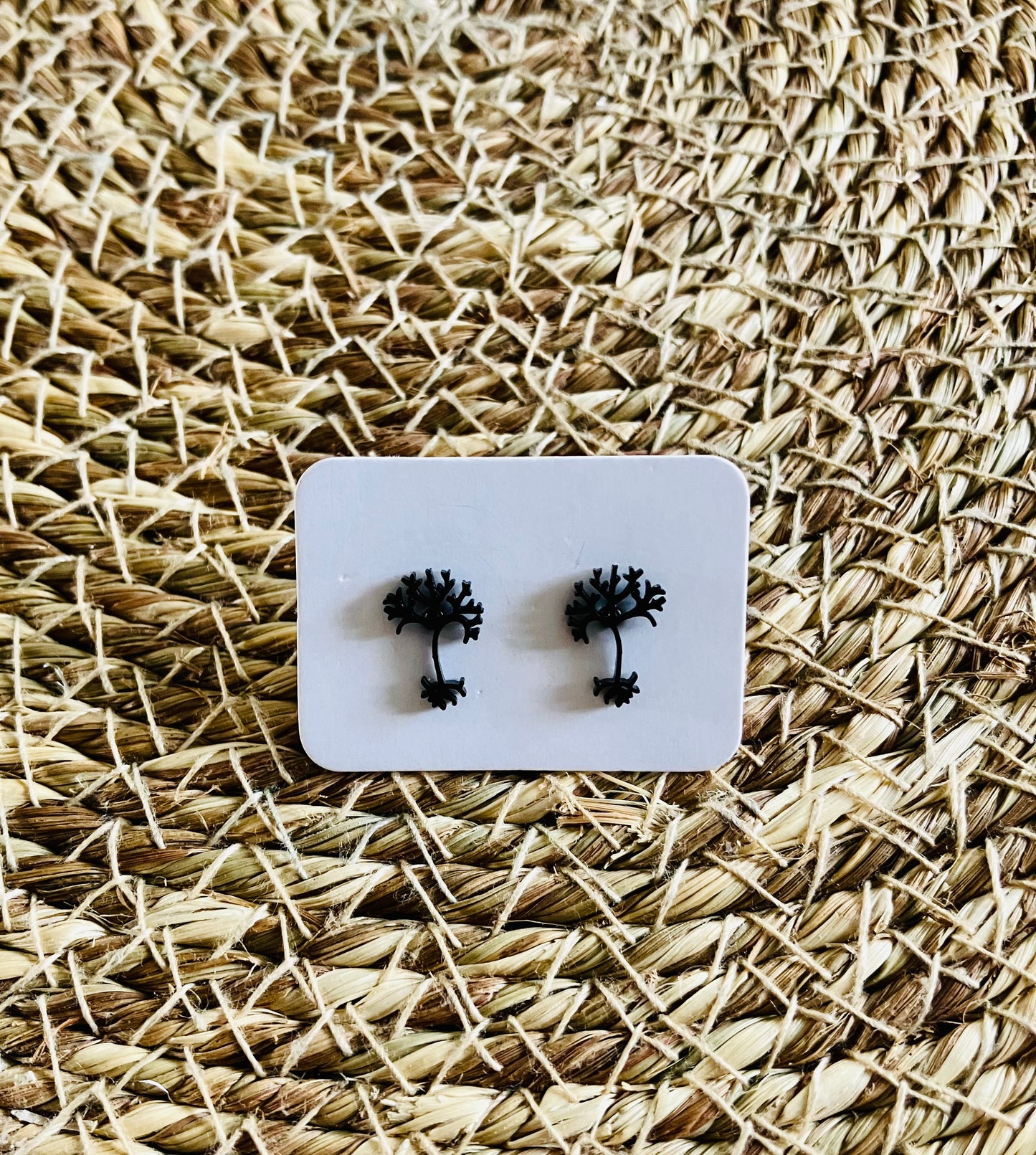 Stainless Steel Studs *5