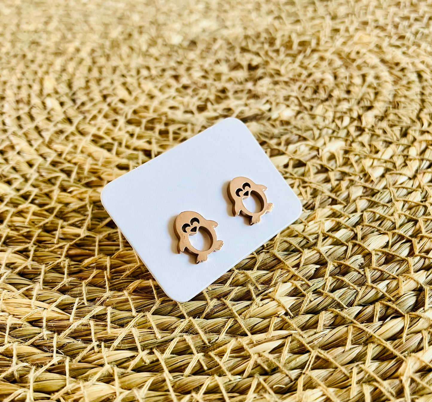 Stainless Steel Studs #30