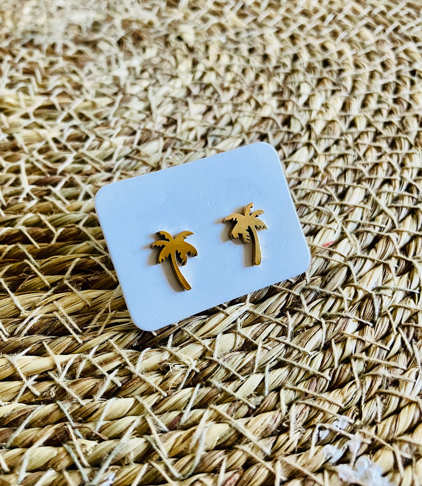Stainless Steel Studs *18