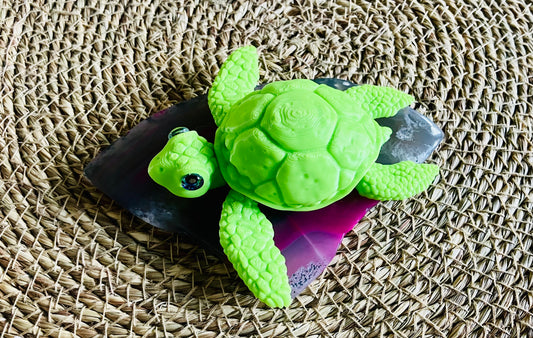 3D Printed Turtle