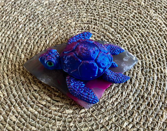 3D Printed Turtle