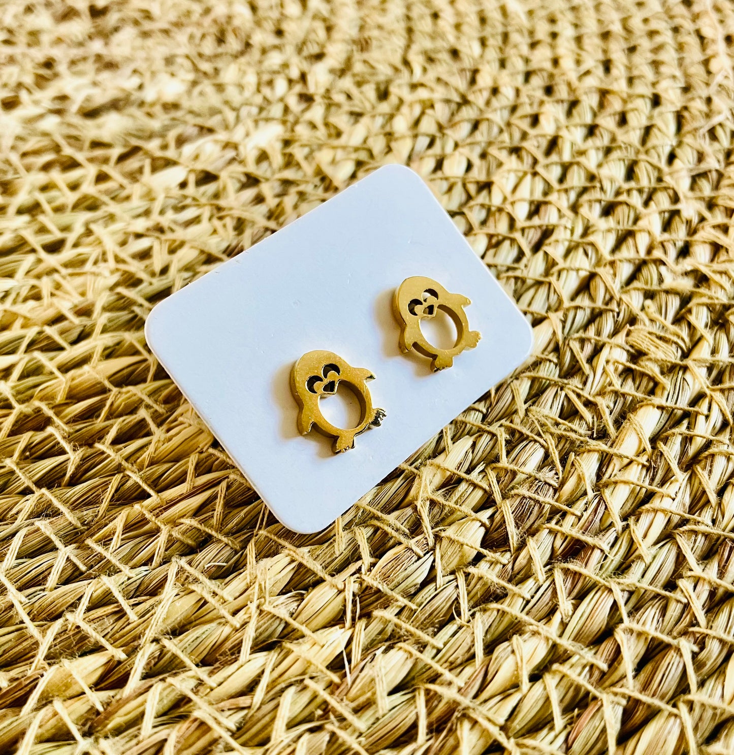Stainless Steel Studs #30