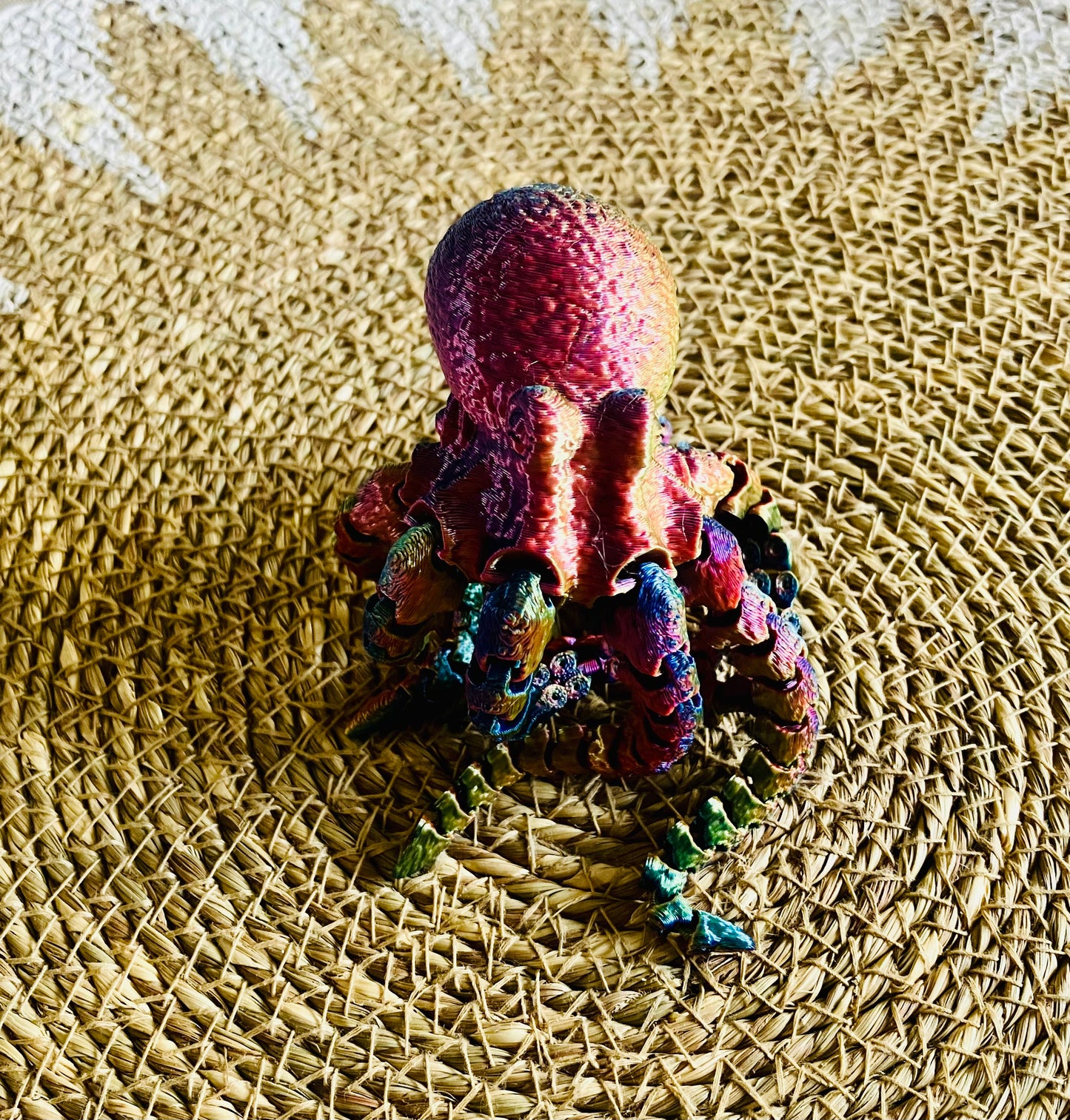 3D Printed Octopus