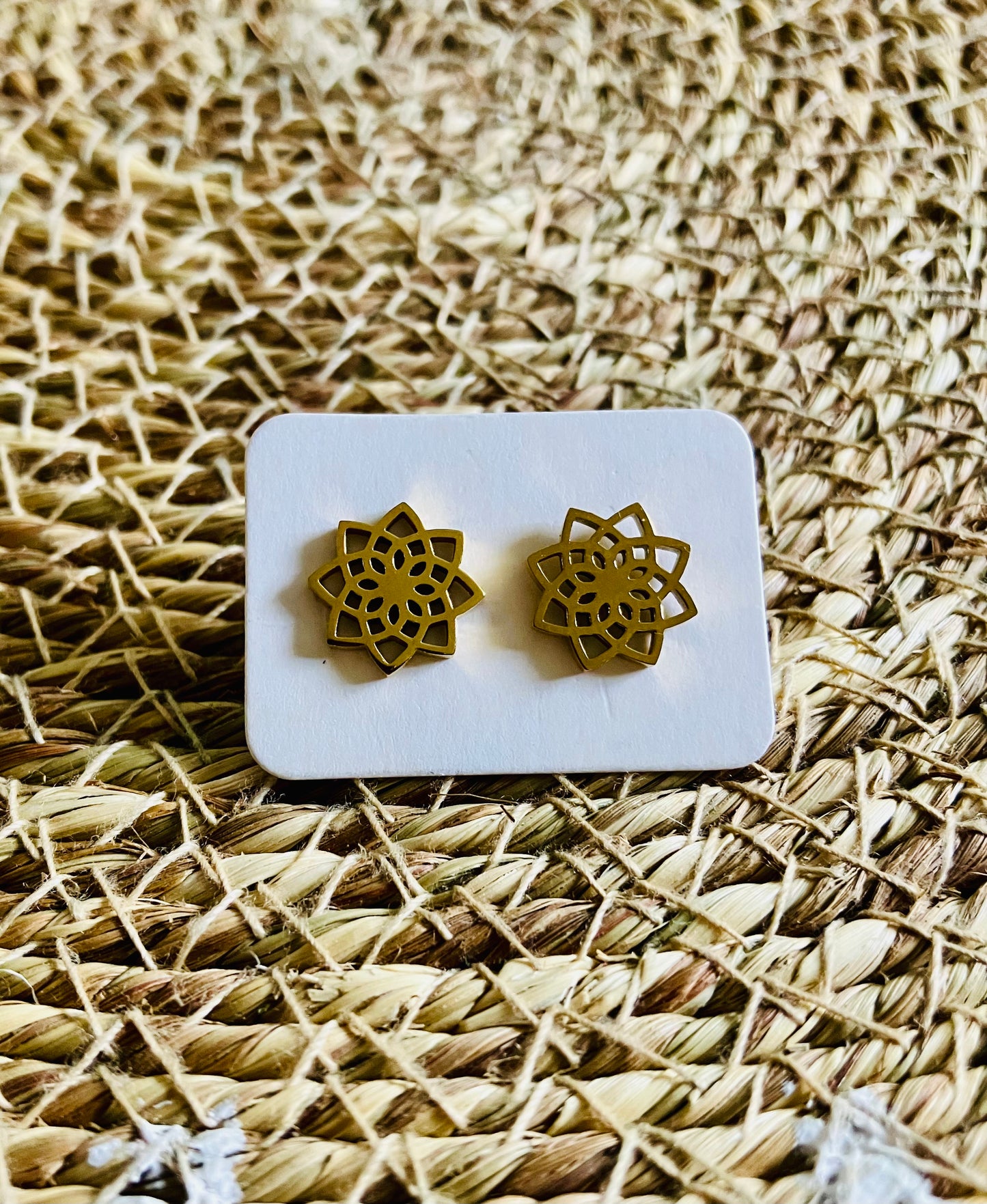 Stainless Steel Studs *7