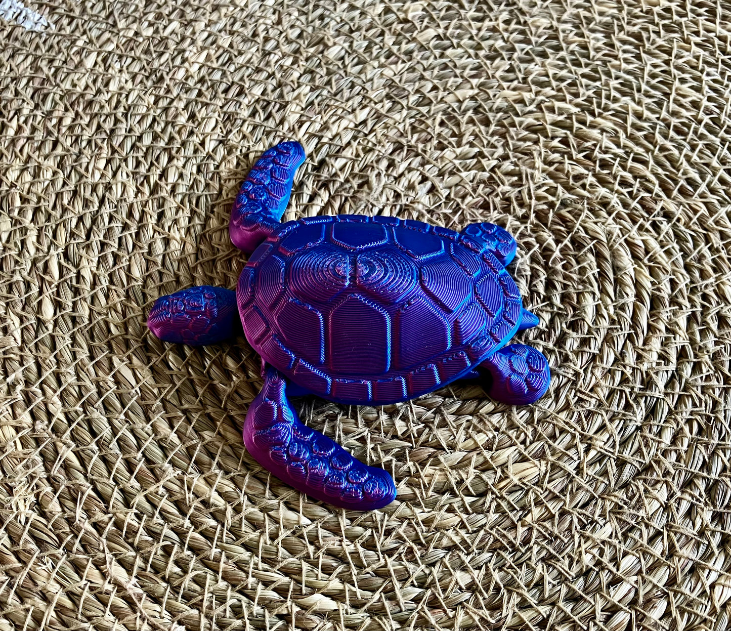 3D Printed Turtle