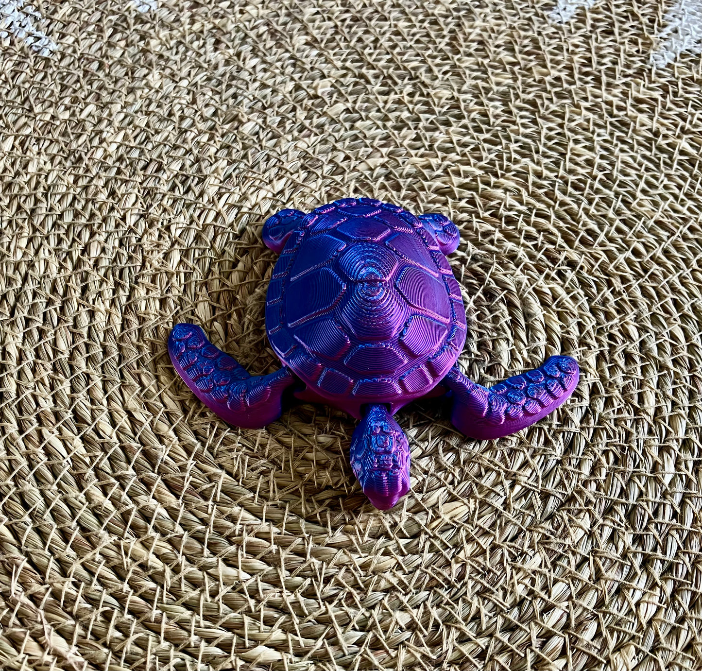 3D Printed Turtle