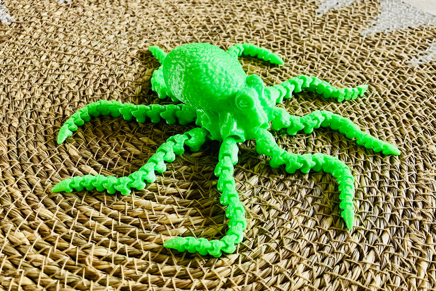 3D Printed Octopus