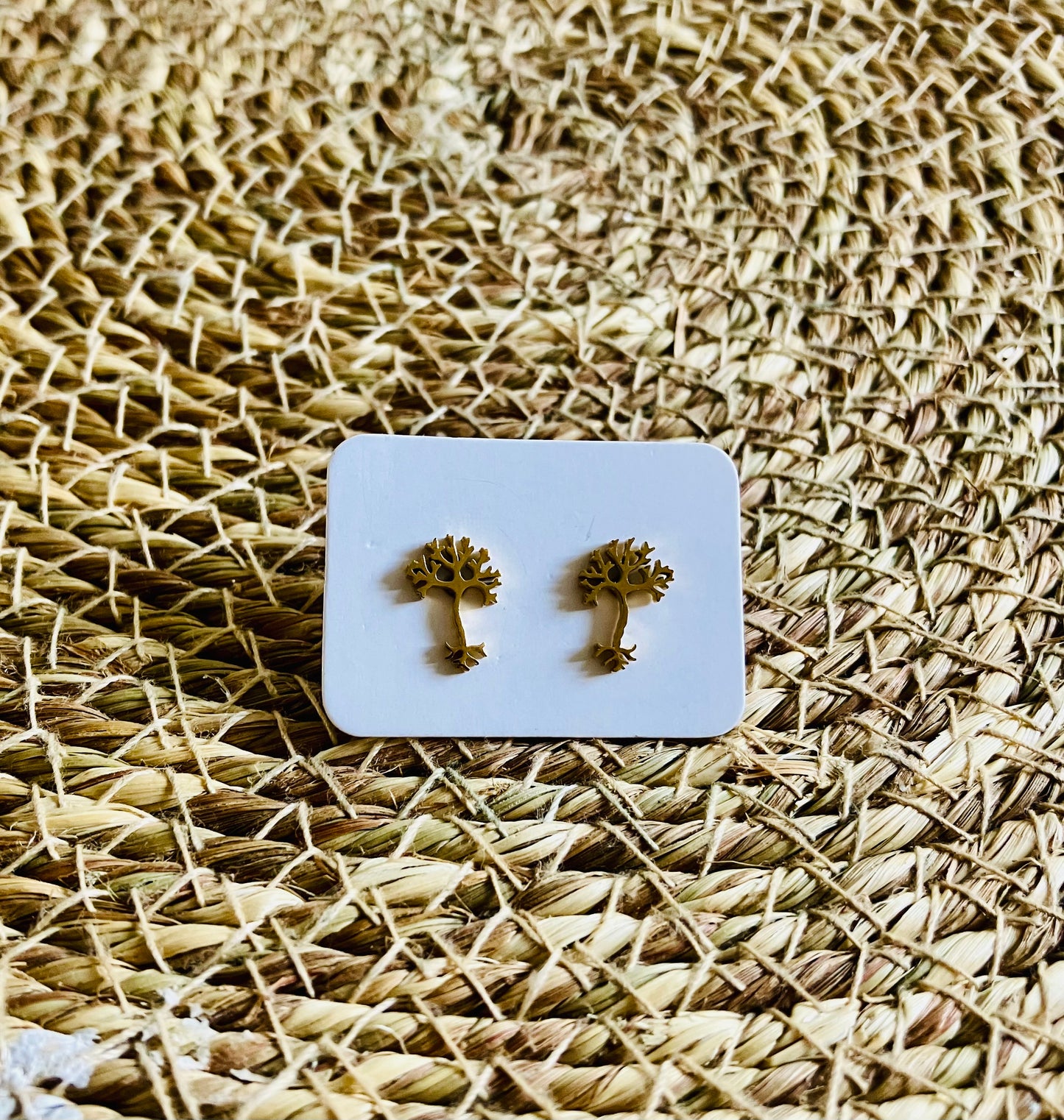 Stainless Steel Studs *5