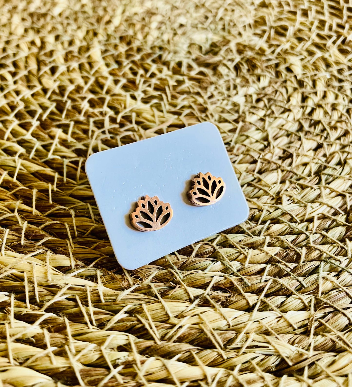 Stainless Steel Studs *25