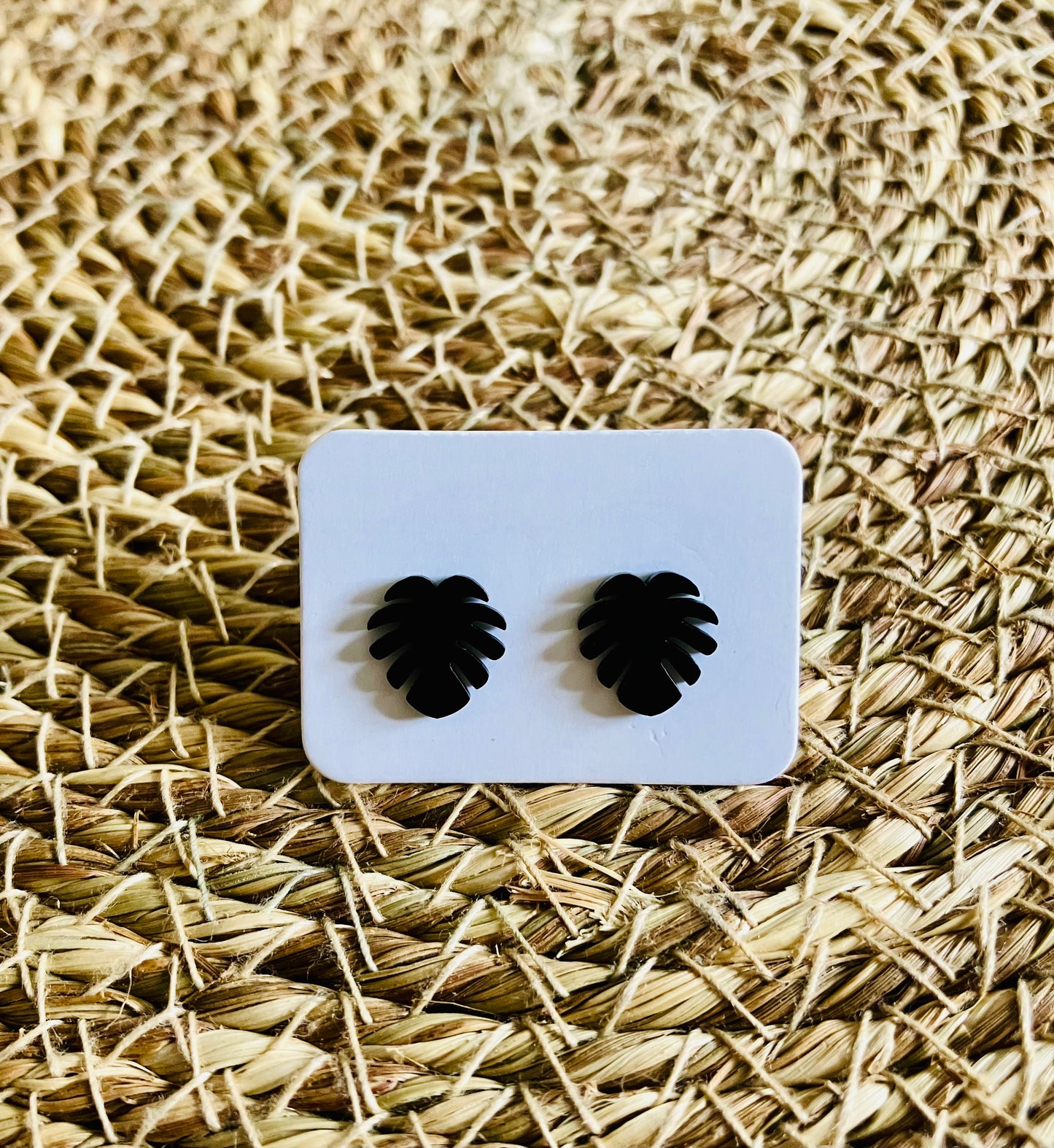 Stainless Steel Studs *15