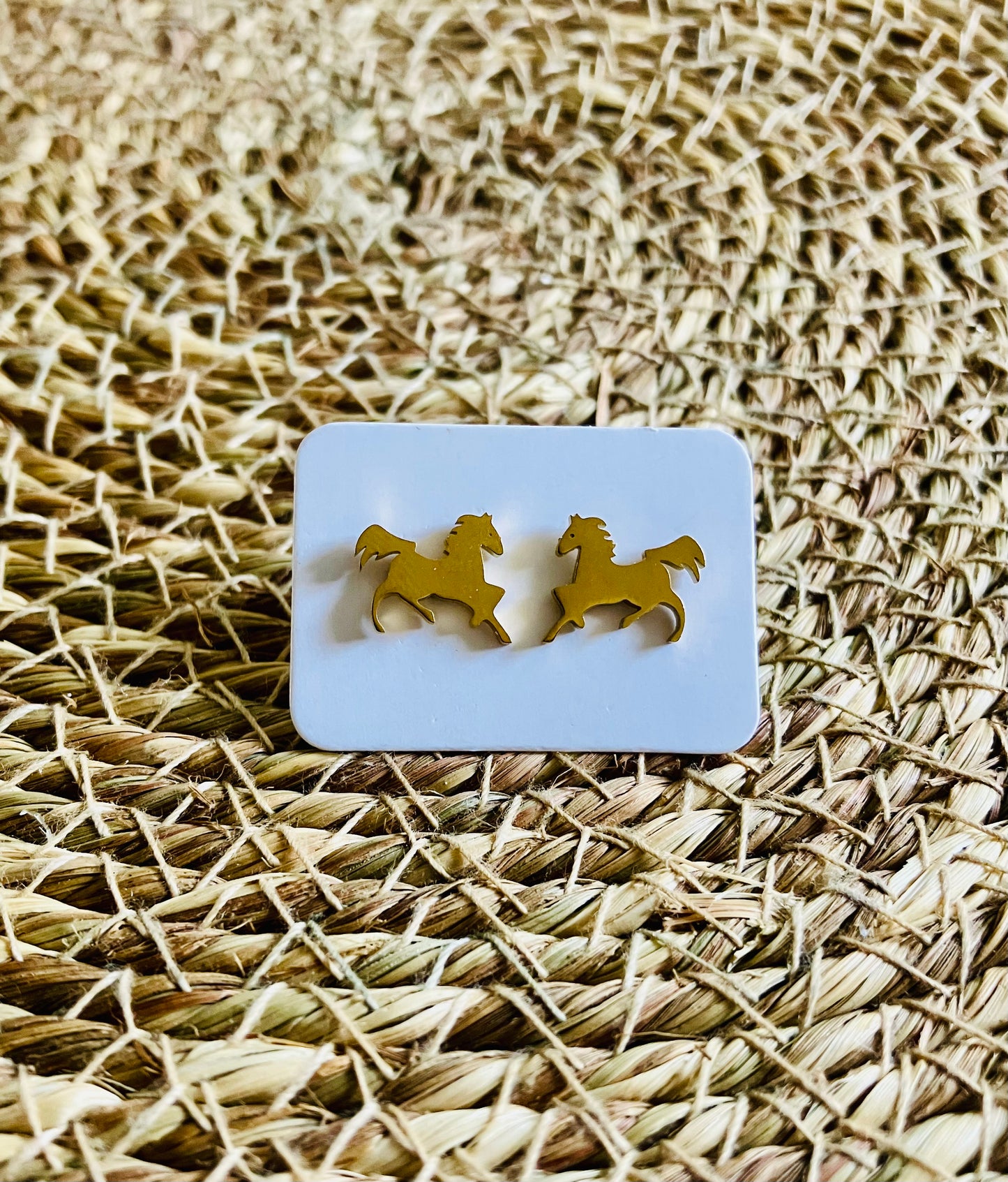 Stainless Steel Studs *6