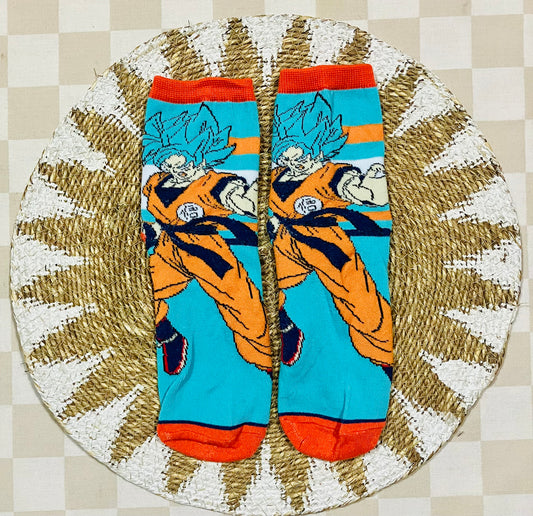 Socks #22