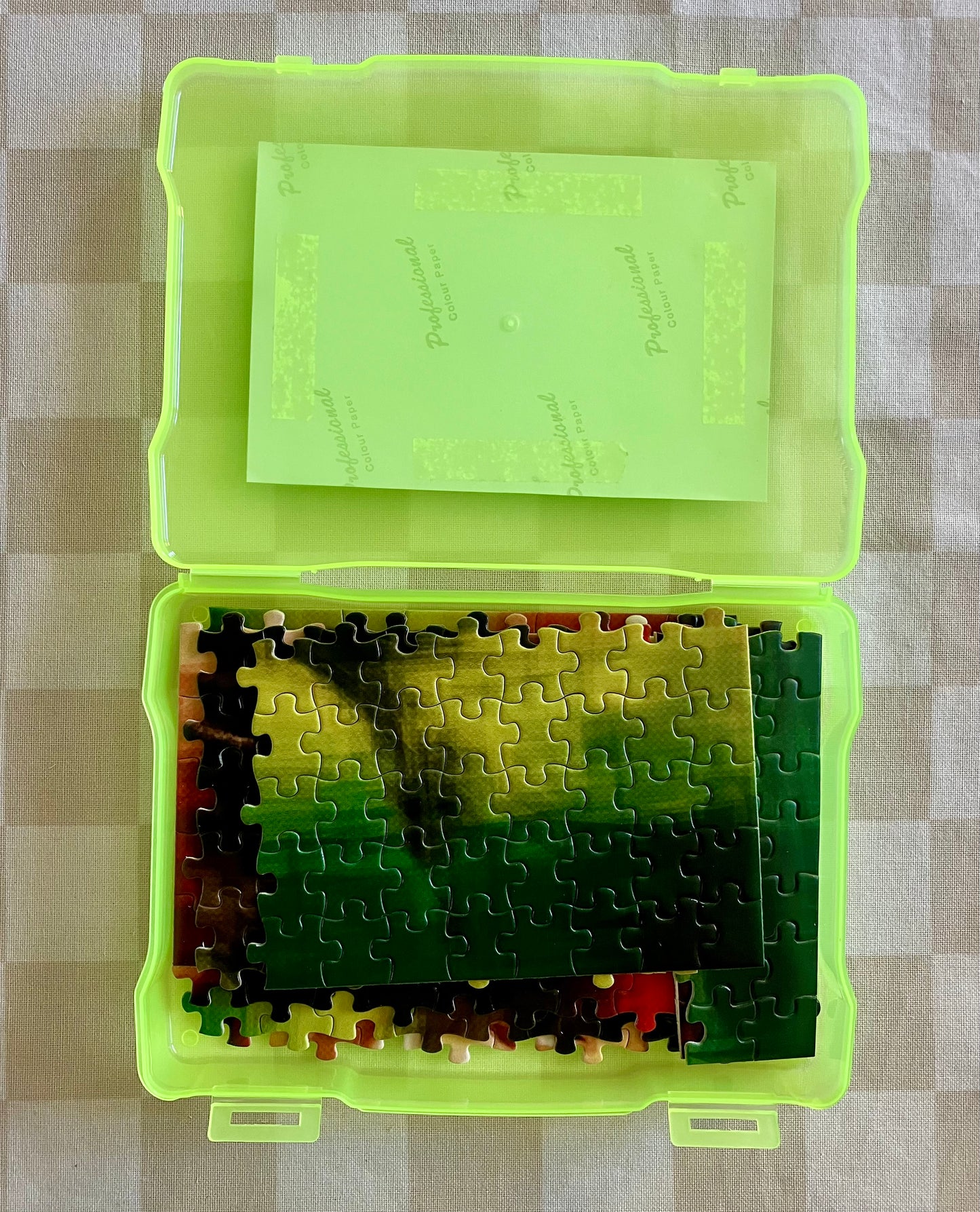 Jigsaw Puzzle #5 (300 Pieces)