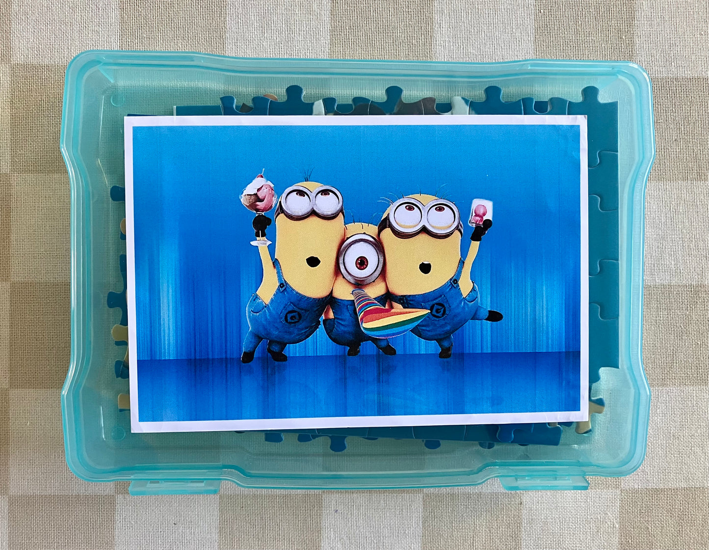 Jigsaw Puzzle #8 (300 Pieces)